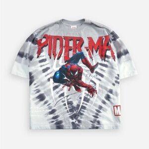 Civil Regime x Spiderman